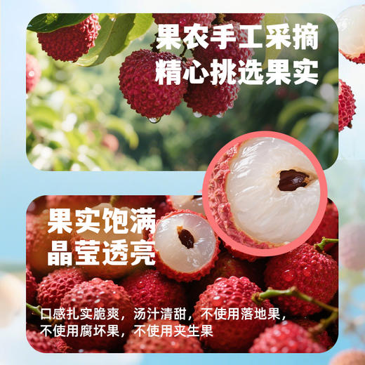 【新品上市】德和 荔枝满满水果罐头567g 0香精0色素0甜味剂 手工去核 果实饱满 晶莹多汁  #润 商品图2