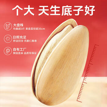 老街口 轻盐 打手瓜子500g/袋 脱皮多味香瓜子零食 古法葵花籽2025新货 /休闲食品 /坚果炒货 /瓜子/葵花籽 商品图3