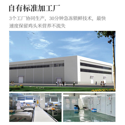 【白包】苏州顶流新鲜鸡头米，一年仅有一次采摘期，夏季限定美味，Q弹软糯，赠送桂花+冰糖 商品图4