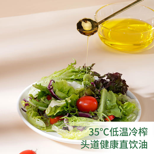 北纬纯净食品|38°有机紫苏籽油低温物理压榨头道油凉拌食用油250ml 商品图3