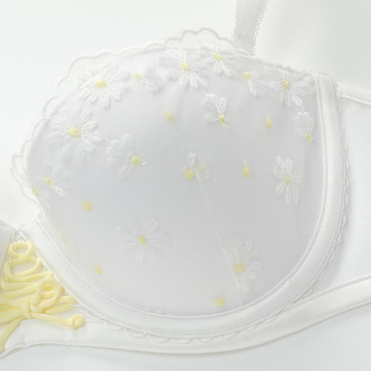 2F【Fandecie芬狄诗】夹棉薄杯女士立体钢圈舒适文胸FB00626 商品图3