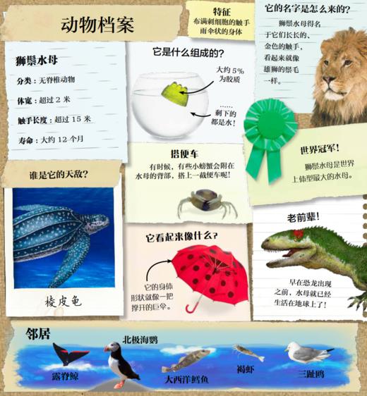 《DK翻开海洋动物》 商品图11
