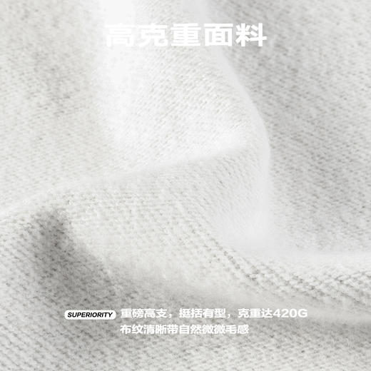 NPC潮牌高克重宽松侧边印花毛织口袋卫衣男潮流NP41ST27 商品图4