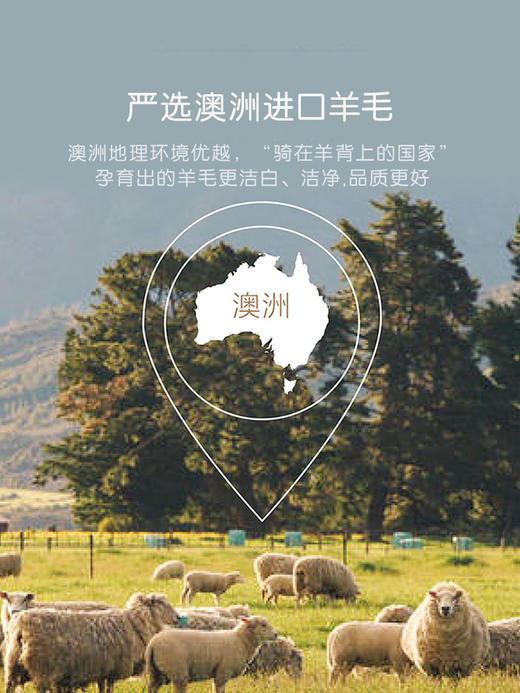 罗莱儿童XS W-A类双层澳洲羊毛冬被 150×215cm 商品图2