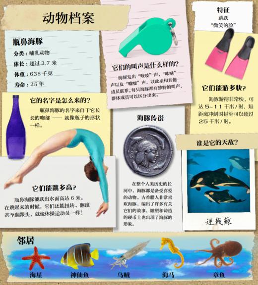 《DK翻开海洋动物》 商品图4