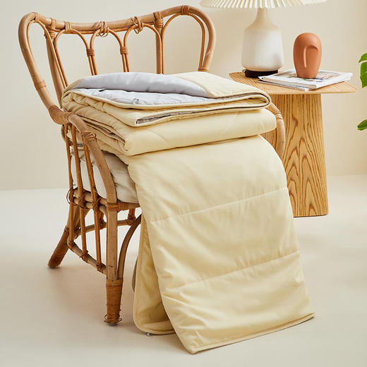 罗莱T “辉煌”A类辽原栎丝™蚕丝被  黄色 200×230cm 商品图2