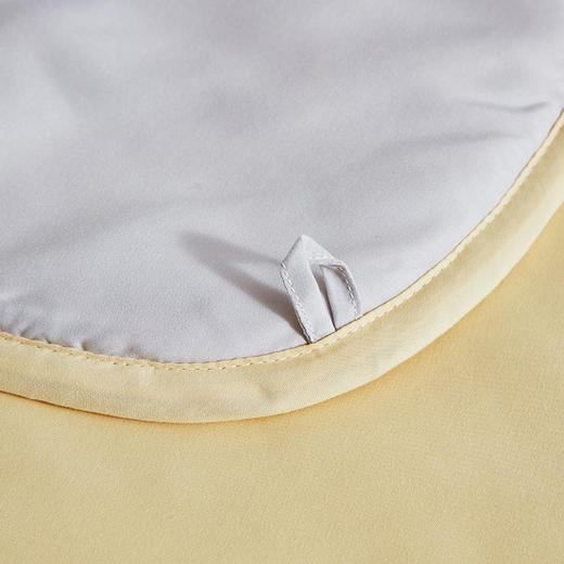 罗莱T “辉煌”A类辽原栎丝™蚕丝被  黄色 200×230cm 商品图7