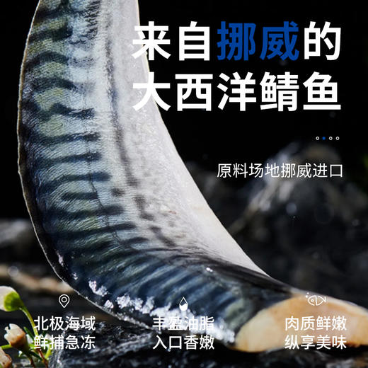 挪威进口鲭鱼丨营养不输三文鱼还更便宜，一水北大西洋海域鲭鱼 商品图5