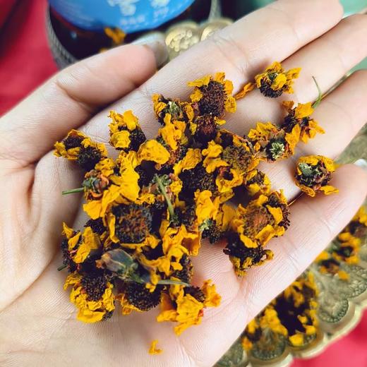 【昆仑雪菊来啦】59.9到手5罐布鲁沐沙昆仑雪菊绽放在雪域的“黄金花朵”清晨采摘沾露带霜方能保持菊瓣完整6斤鲜花晾晒只能得1斤干花基地直邮 商品图1