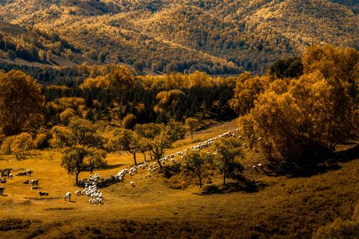 9月【坝上金秋画廊】穿越乌兰布统•金山岭长城7天风光摄影 商品图4