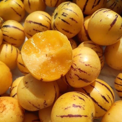 人参果1000g/份【FY】 商品图0