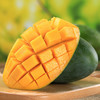 【四川攀枝花凯特芒果】果肉肥厚 香甜爽口 商品缩略图4