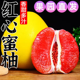 【红心蜜柚，香甜可口！】柚子红心蜜柚 红肉蜜柚 红柚香甜蜜柚 新鲜水果包邮 香甜多汁 口感细腻-QB