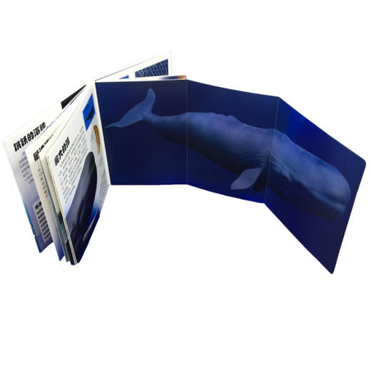 《DK翻开海洋动物》 商品图3