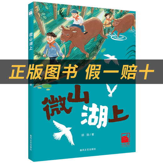 微山湖上小红桔丛书邱勋著春风文艺出版社 商品图1