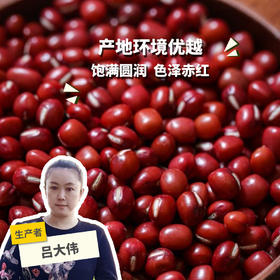 有机红豆 | 合作生产*Organic  Red Soybean | Coproduction