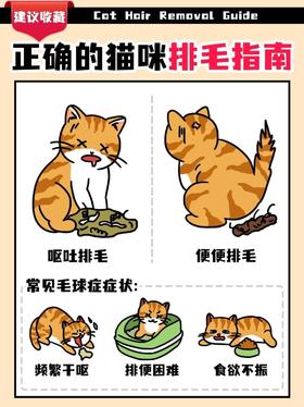 正确养猫排毛方法！！