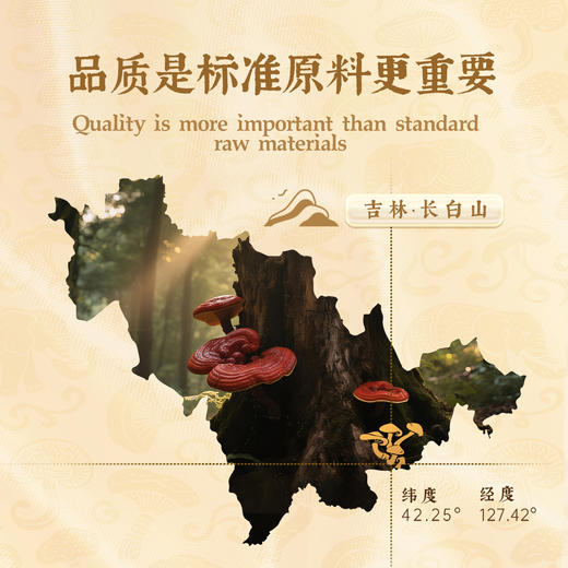 象记灵芝孢子粉60克/盒每100克含多糖3.5克，三萜12克/高含量 商品图2