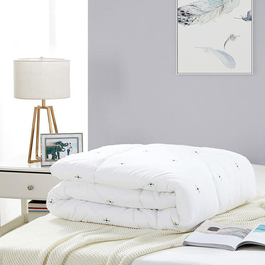 罗莱T 防螨抗菌春秋被 200×230cm 商品图7