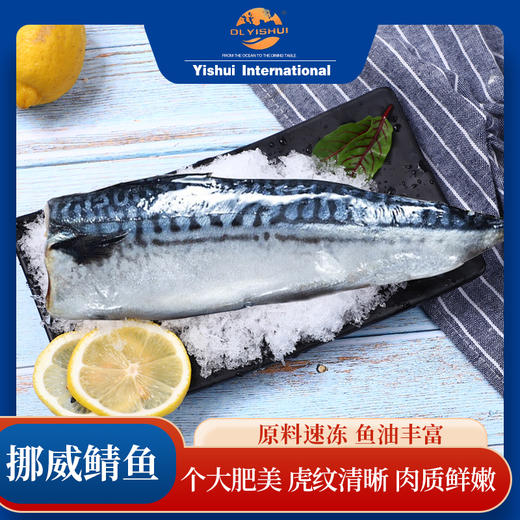 挪威进口鲭鱼丨营养不输三文鱼还更便宜，一水北大西洋海域鲭鱼 商品图0