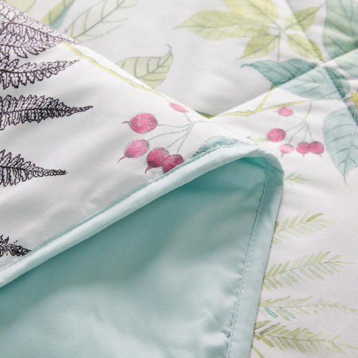 罗莱T 绿野仙踪夏被 150×200cm 商品图7