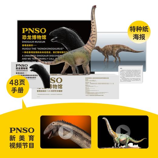 PNSO恐龙博物馆香港龙回归1:45科学艺术模型 商品图1