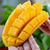 【四川攀枝花彩虹芒】新鲜甜糯大芒果 当季热带水果 商品缩略图1