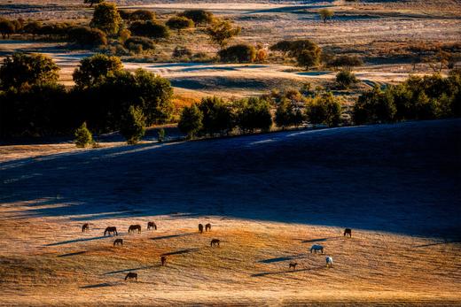9月【坝上金秋画廊】穿越乌兰布统•金山岭长城7天风光摄影 商品图7