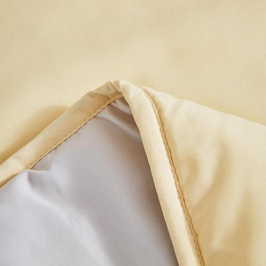 罗莱T “辉煌”A类辽原栎丝™蚕丝被  黄色 200×230cm 商品图5