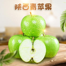 2025年新果【陕西富士青苹果】 酸甜脆爽早熟青苹果 新鲜酸甜孕妇水果