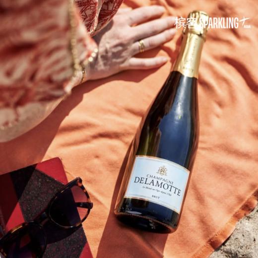 Delamotte Brut 德乐梦香槟 750ml & 1500ml 商品图4