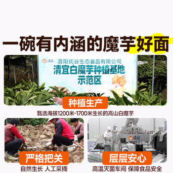 清宜 0脂肪魔芋面6袋 即食粉丝凉皮代餐饱腹0低减速食脂肪代餐1080g /粮油调味 /方便食品 /速食预制主食 商品图6