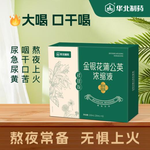 金银花蒲公英浓缩液  清凉熬夜上火常备 买二送一 商品图0