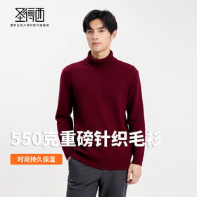【含绵羊毛】圣得西男士高领针织衫2025年秋季纯色内搭打底羊毛衫