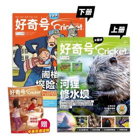 好奇号 2025年8月-2026年7月