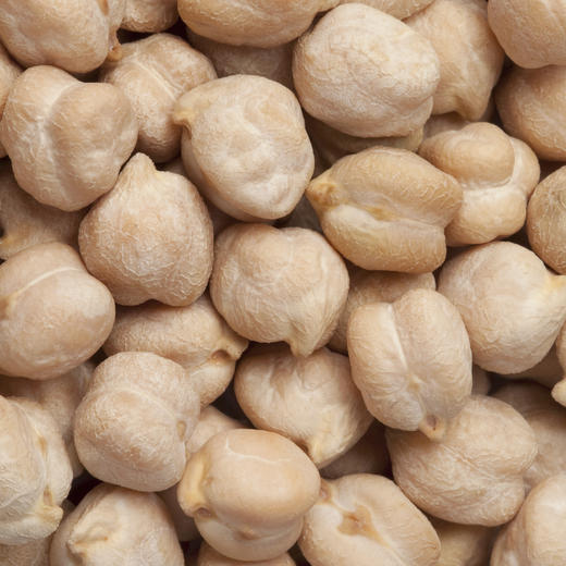 【食品】鹰嘴豆生豆新货豆子五谷杂粮特产400克/罐 商品图3