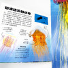 《DK翻开海洋动物》 商品缩略图13