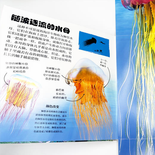 《DK翻开海洋动物》 商品图13