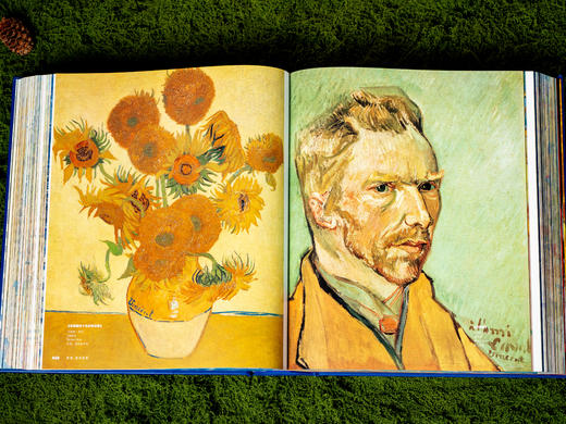 【首部“立体会动”的“梵高全书”】《透明梵高》典藏艺术画传 | 博物馆级艺术藏书，中央美院团队校色，近1300张绘画+20万字艺术史诗+超大体量人物传记，一本书窥尽梵高的艺术和精神世界。 商品图5