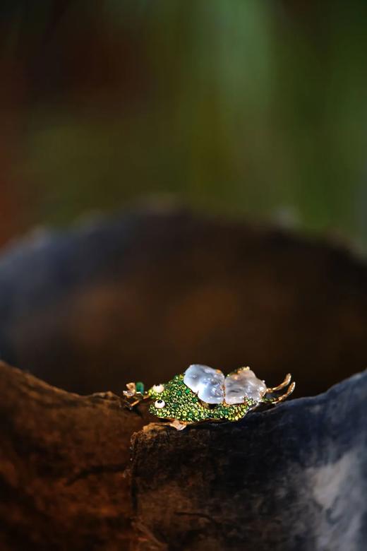 人类你好呀，我是一只角蛙 商品图3