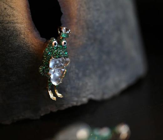 人类你好呀，我是一只角蛙 商品图4