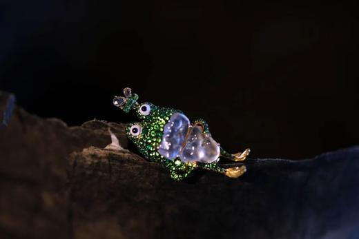 人类你好呀，我是一只角蛙 商品图7