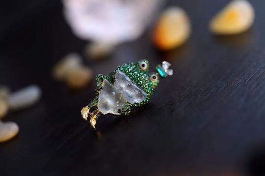 人类你好呀，我是一只角蛙 商品图5