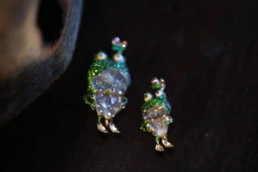 人类你好呀，我是一只角蛙 商品图2