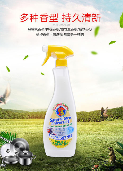 【中欧班列3瓶】意大利清洁剂 原装进口大公鸡管家多能去污清洁剂套装600ml/瓶OC 商品图1