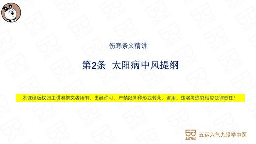 伤寒第2条：太阳病中风提纲 商品图0