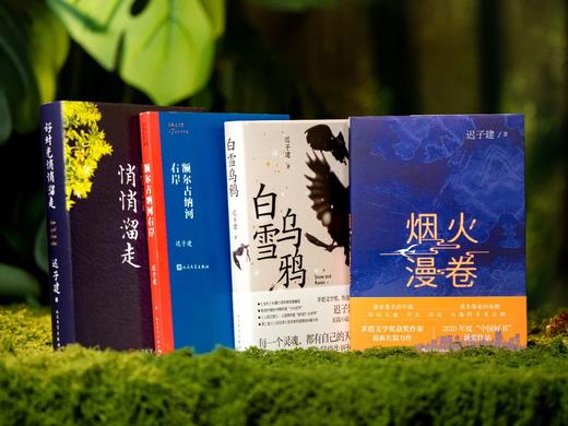 现货《生命如歌：迟子建文集》（全4册）（好时光悄悄溜走、额尔古纳河右岸 、白雪乌鸦、烟火漫卷 ）， 董宇辉力荐，人民日报评选的年度蕞佳，豆瓣评分9.0， 商品图8