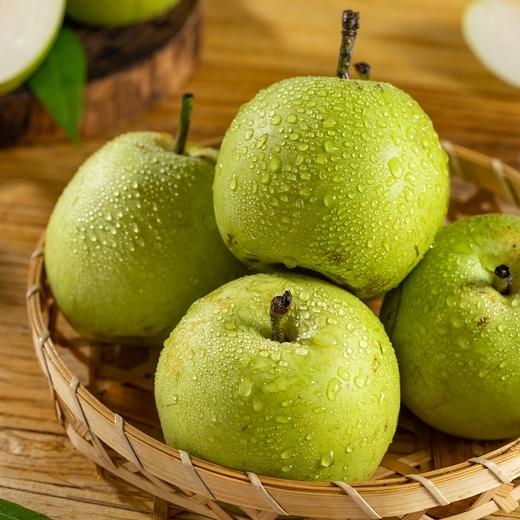 砀山青梨|自然熟不打药，酥脆清甜无渣，一口咬出冰糖水！ 商品图1