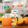 一甸园100%橙汁复合果蔬汁蔬菜汁果汁饮料200ml*10礼盒装 液断代餐 /水饮冲调 /饮料 /果蔬汁/饮料 商品缩略图7