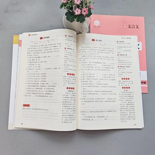 2025思脉小升初文言文名校真题90篇人教版小学语文文言文阅读训练 商品图3